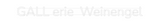 Personalisiertes Neonschild: GALL erie  We...