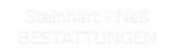 Personalisiertes Neonschild: Steinhart - N...