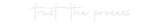 Personalisiertes Neonschild: trust the pro...