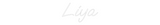 Personalisiertes Neonschild: Liya