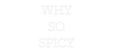 Personalisiertes Neonschild: WHY
SO
SPICY