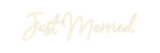 Custom Neon: Just Married