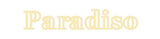 Custom Neon: Paradiso