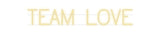 Custom Neon: TEAM LOVE