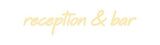 Custom Neon: reception & bar