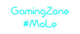 Custom Neon: GamingZone
#...