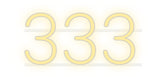 Custom Neon: 333