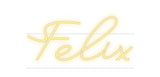 Custom Neon: Felix