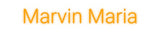 Custom Neon: Marvin Maria