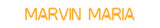 Custom Neon: Marvin Maria
