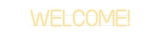 Custom Neon: WELCOME!