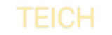 Custom Neon: TEICH