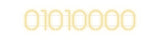 Custom Neon: 01010000