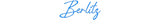 Custom Neon: Berlitz