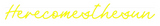 Personalisiertes Neonschild: Herecomesthesun